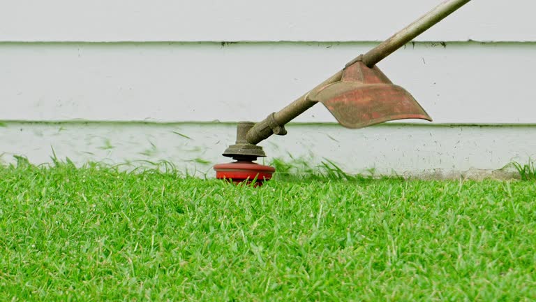 Lawn Renovation and Restoration in Cordova, AK